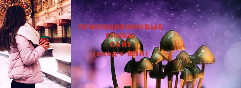 Псилоцибиновые грибы Magic Shrooms  купить наркоту  Кириллов 